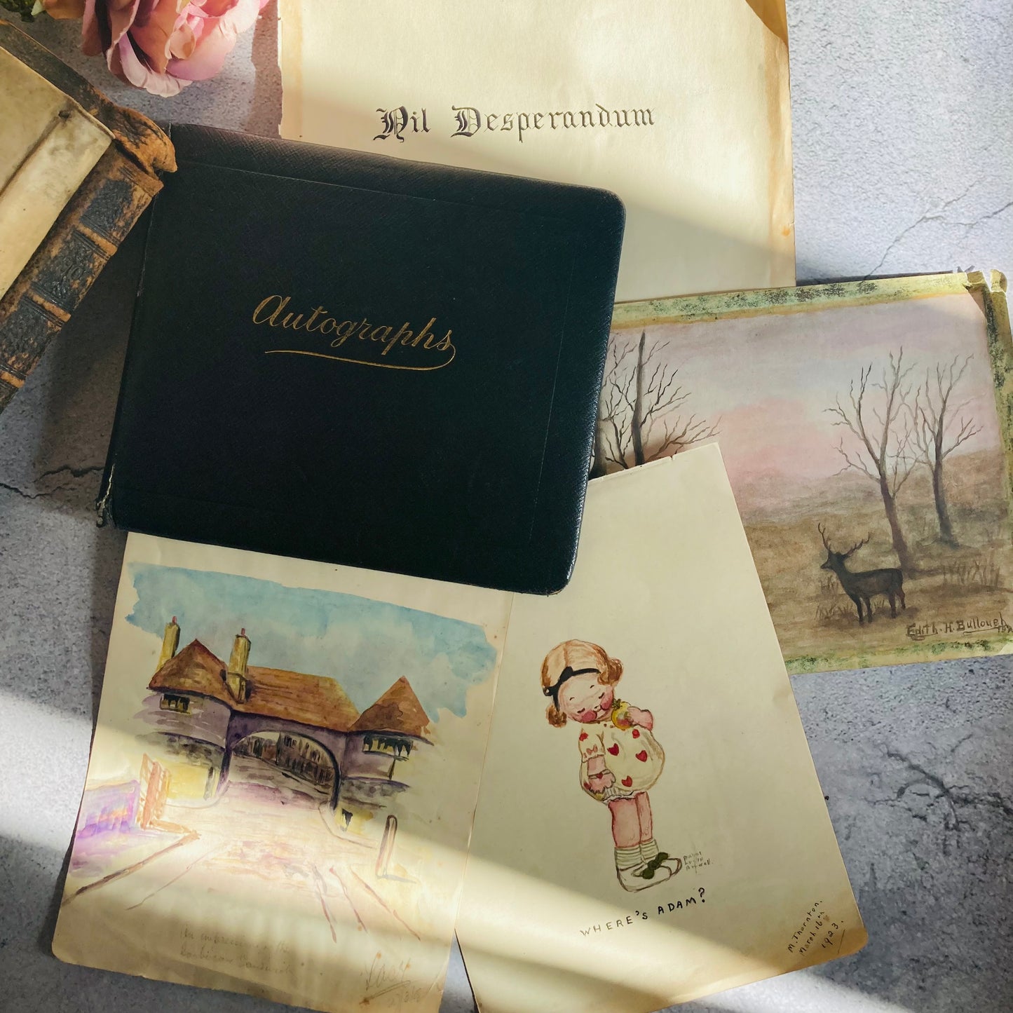 Edwardian Used Sketchbook Autographs Artwork Notebook Sheets