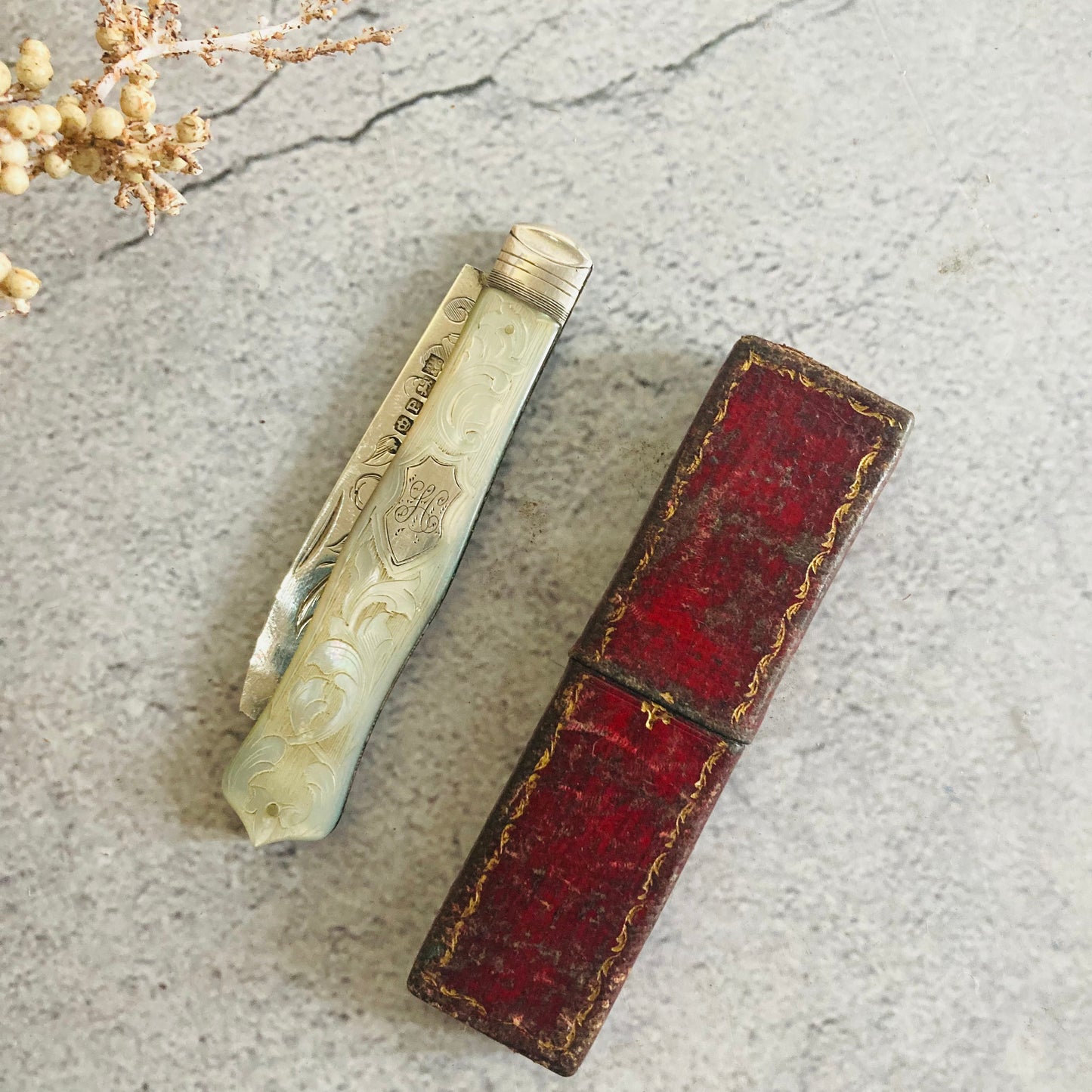 Antique Silver and Mother Of Pearl Fruit Knife In A Case