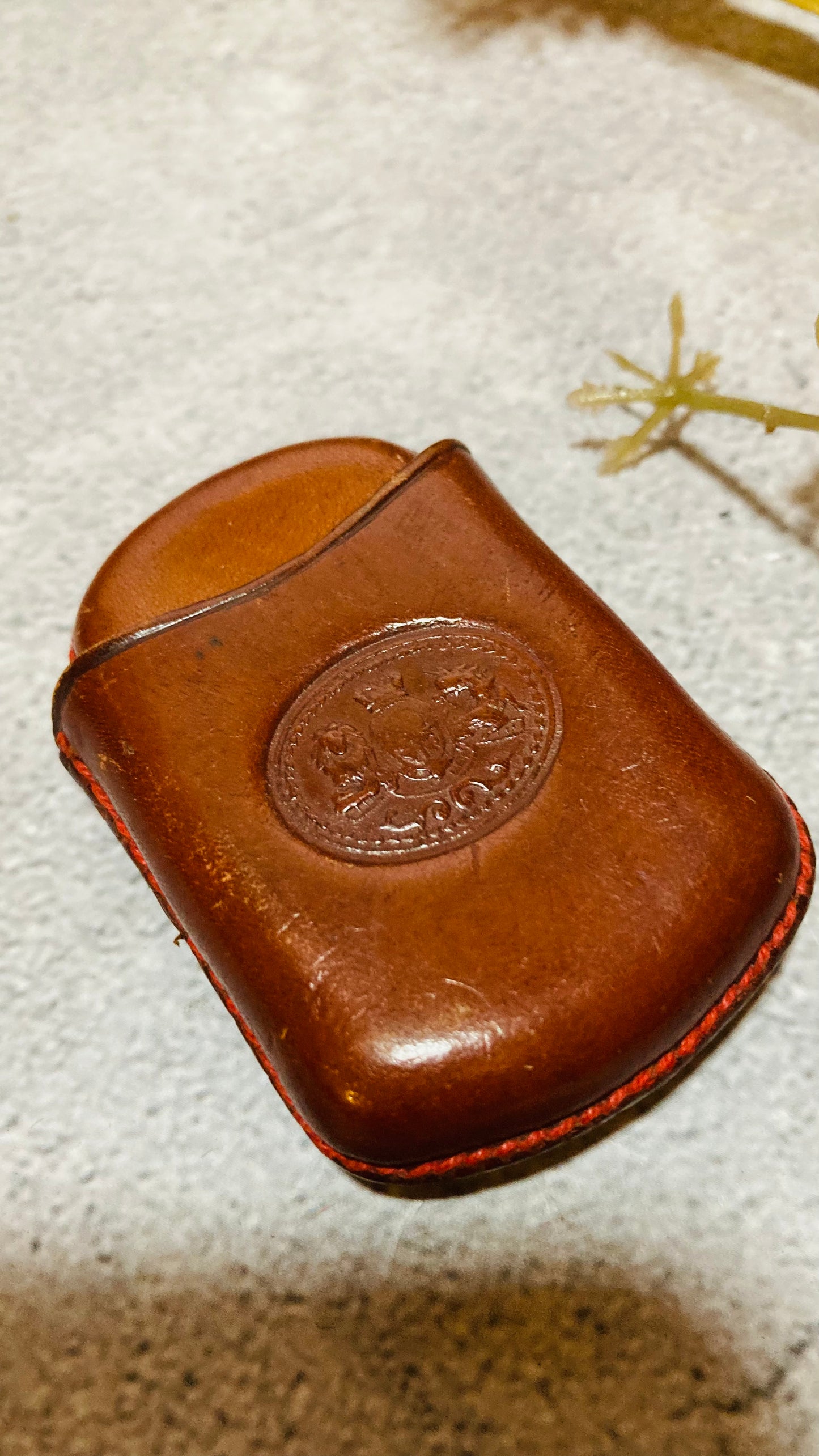 Antique Leather Coat of Arms Vesta Case