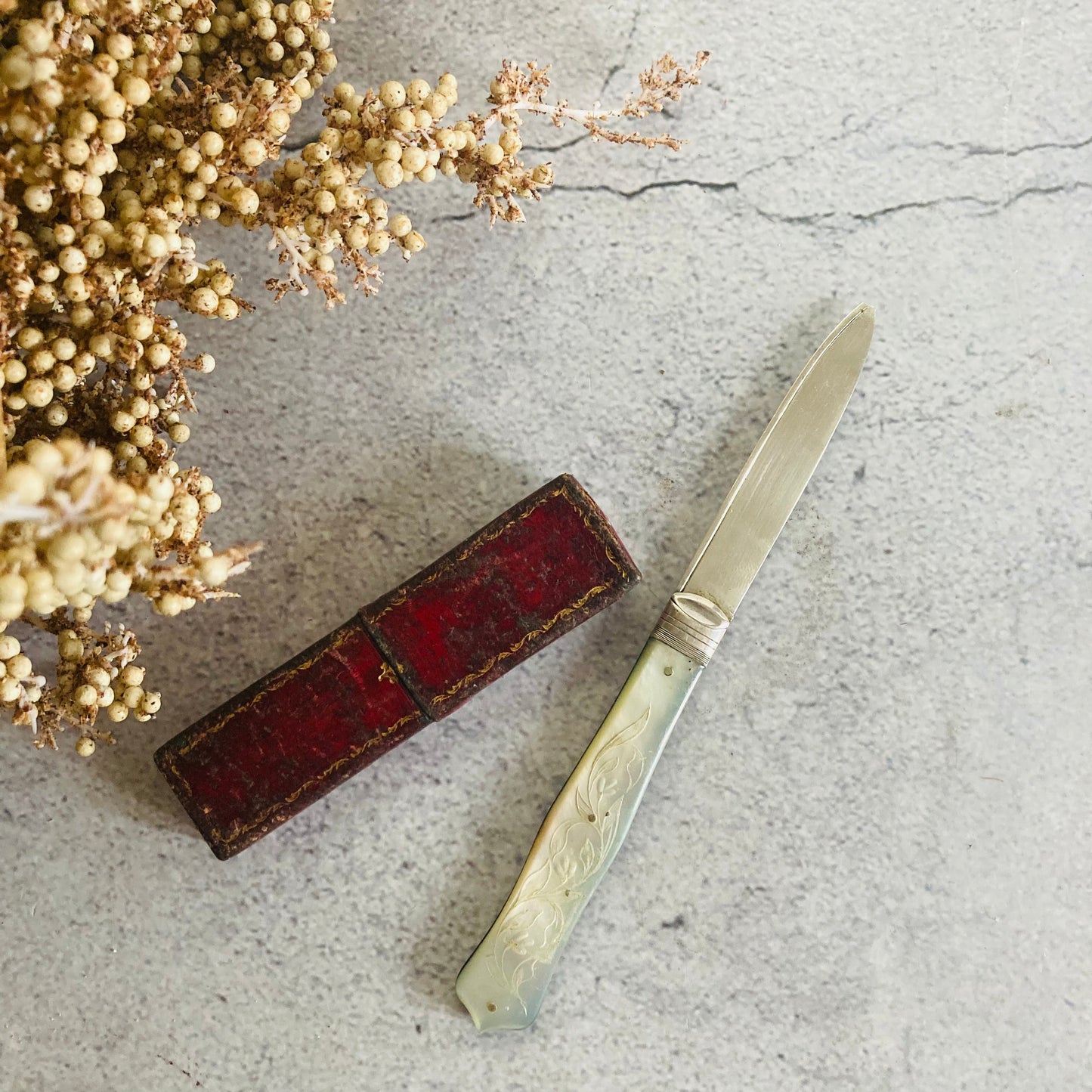 Antique Silver and Mother Of Pearl Fruit Knife In A Case