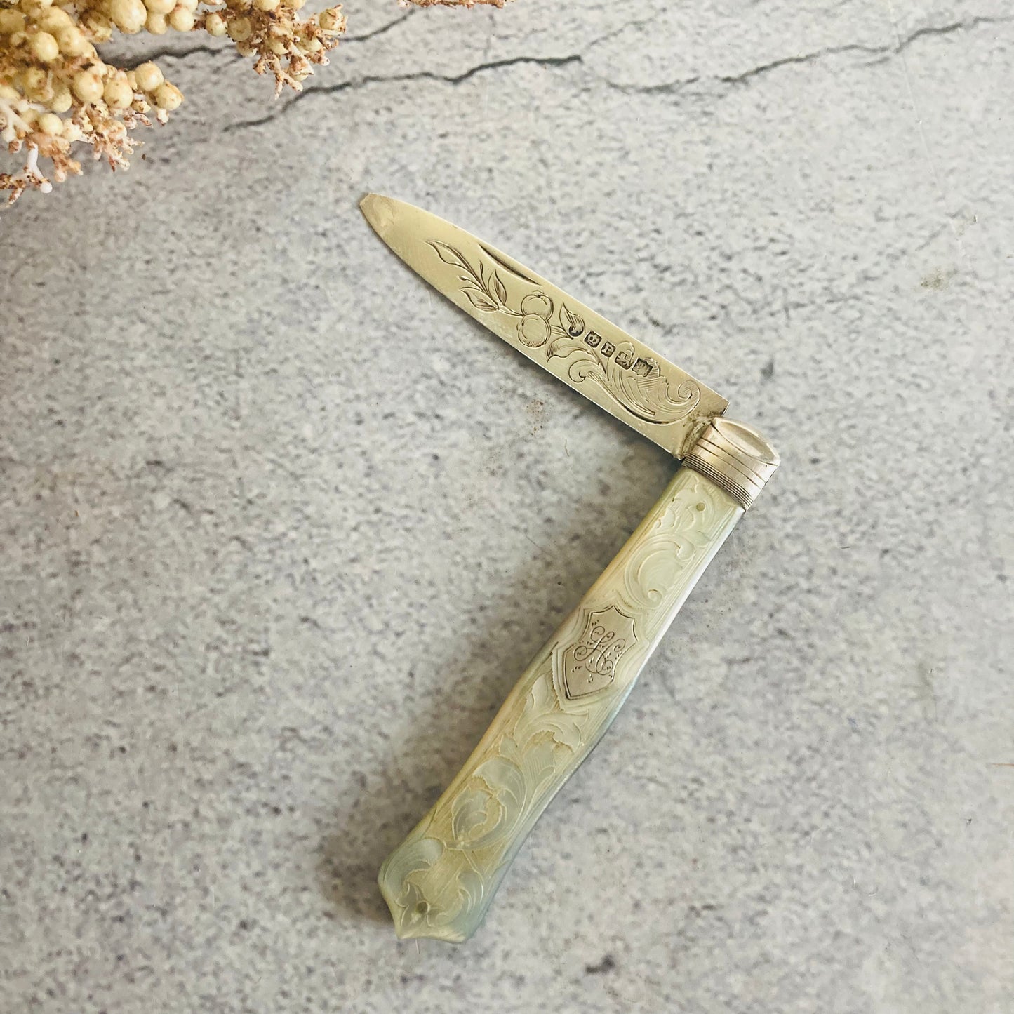 Antique Silver and Mother Of Pearl Fruit Knife In A Case