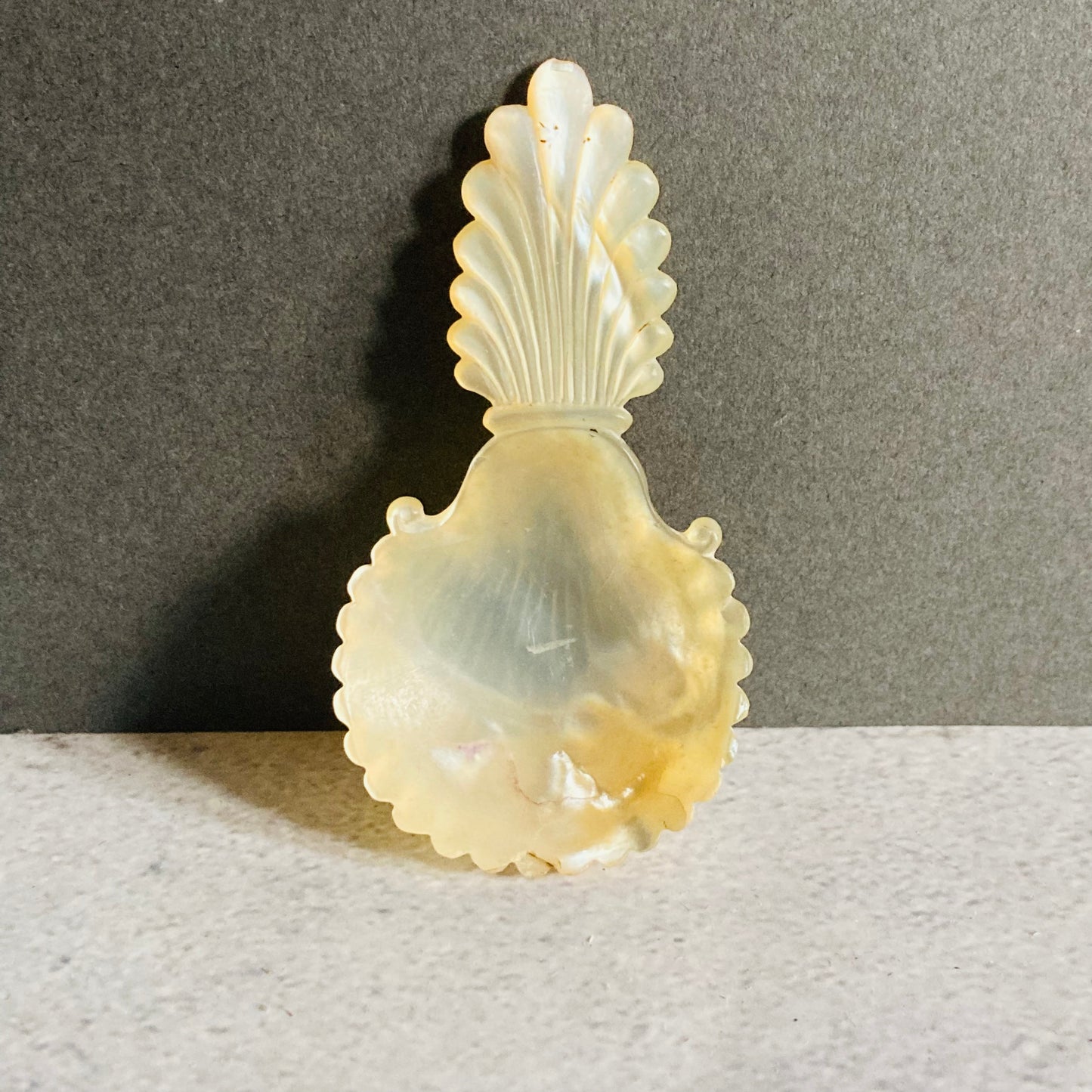 Antique Rare Mother Of Pearl 18th Century Caddy Spoon