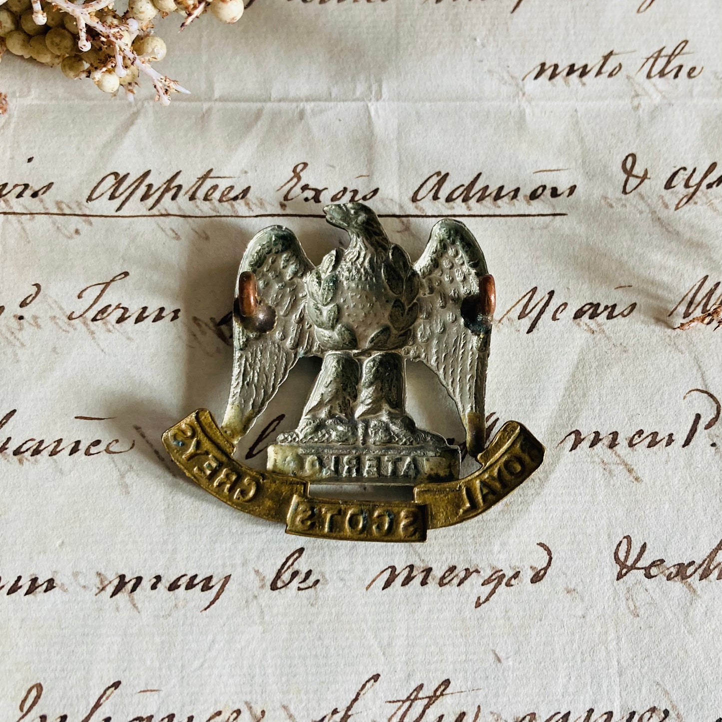 Vintage Military Badge For Royal Scott’s Greys