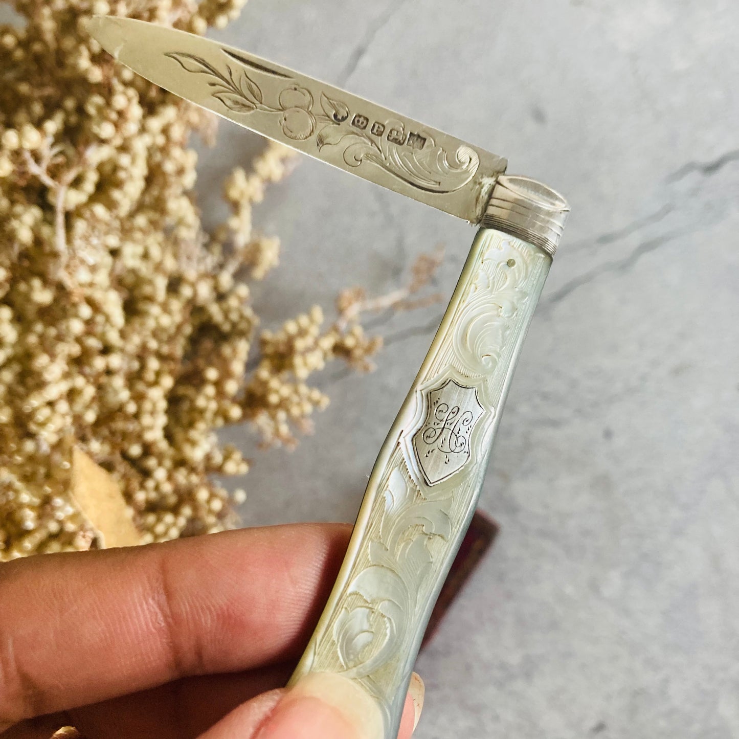 Antique Silver and Mother Of Pearl Fruit Knife In A Case