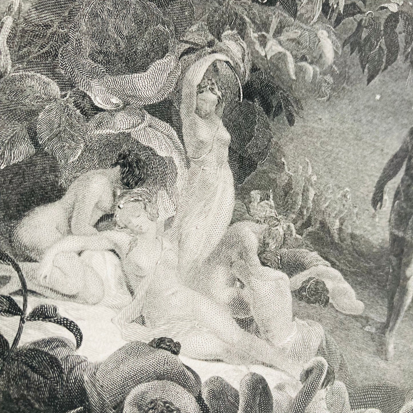 Antique Etching Plate Engraving of a Scene in Shakespeare’s Works
