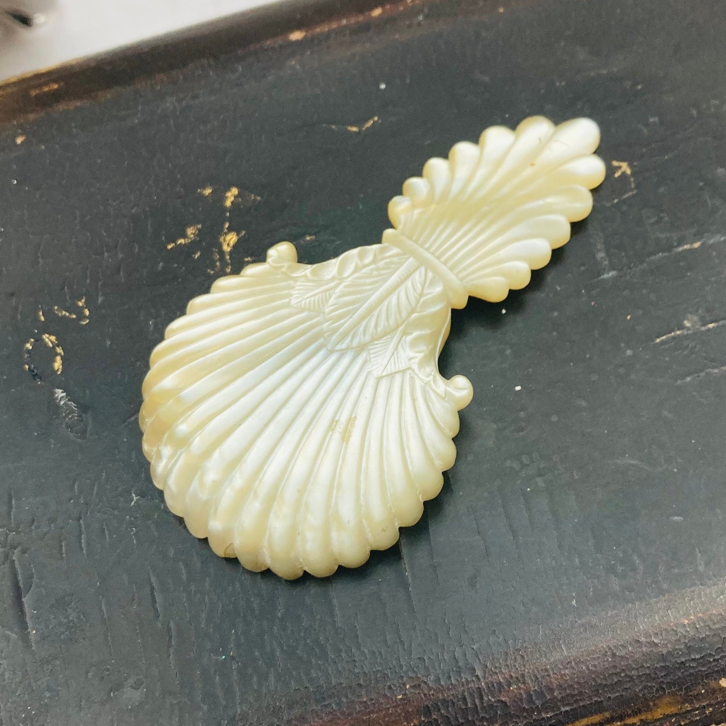 Antique Rare Mother Of Pearl 18th Century Caddy Spoon