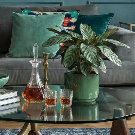 Living room with a glass coffee table, plant, decanter, and glasses.