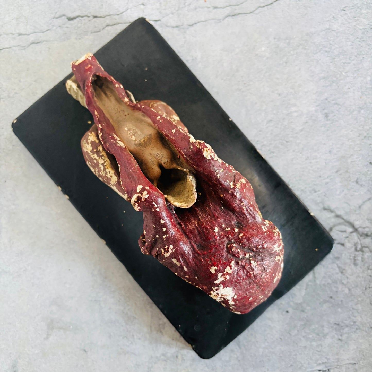 Antique Cast of Tongue | Bock Steger Lips | The Urban Vintage Affair