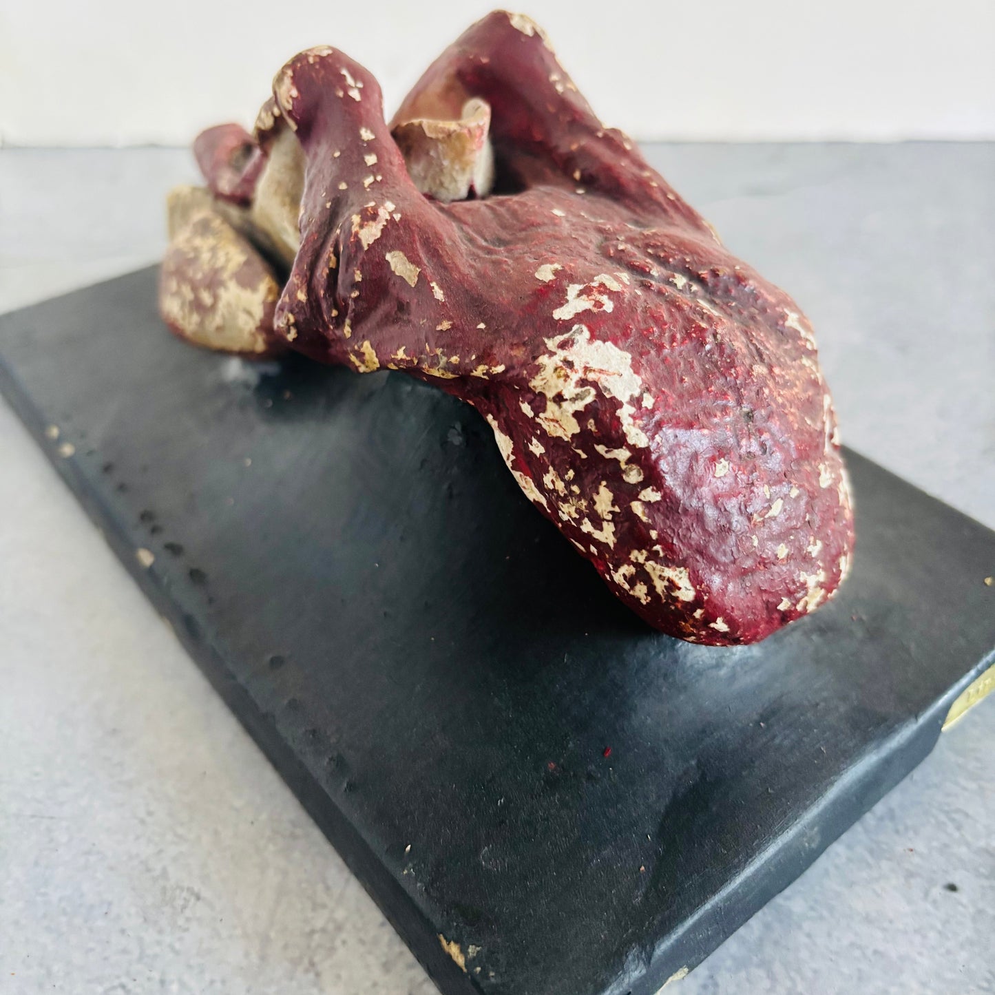 Antique Cast of Tongue | Bock Steger Lips | The Urban Vintage Affair