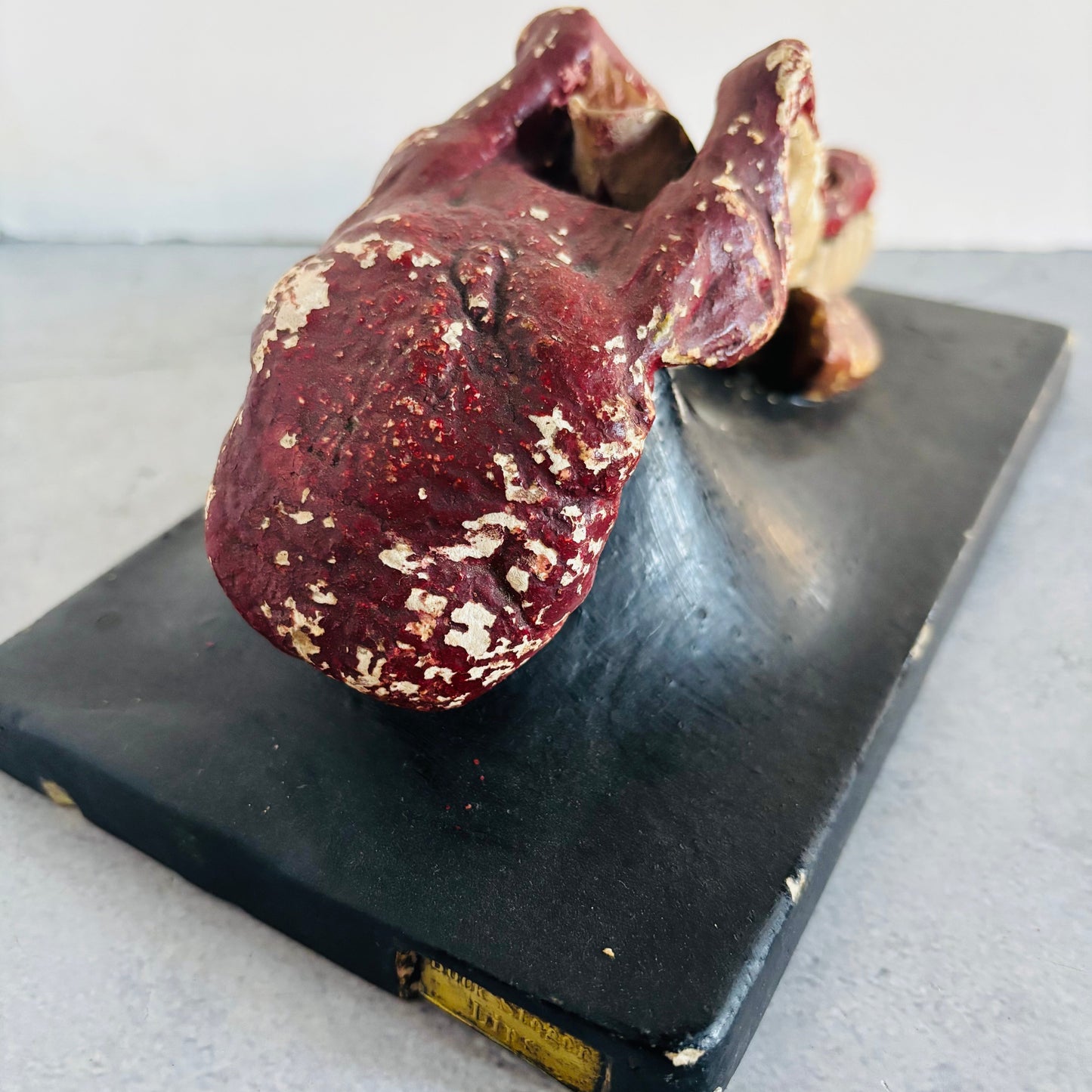 Antique Cast of Tongue | Bock Steger Lips | The Urban Vintage Affair