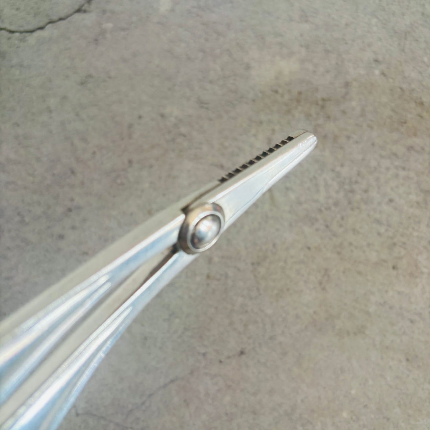The Headhunter Jessica - Silver Plate Grape Scissors