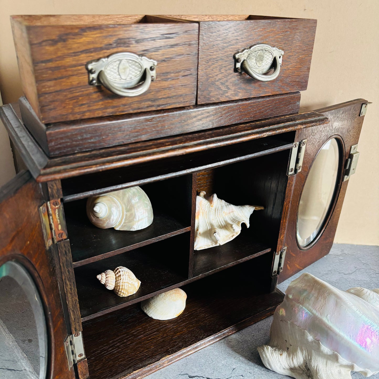 Wooden cabinet with seashells inside, on a neutral background