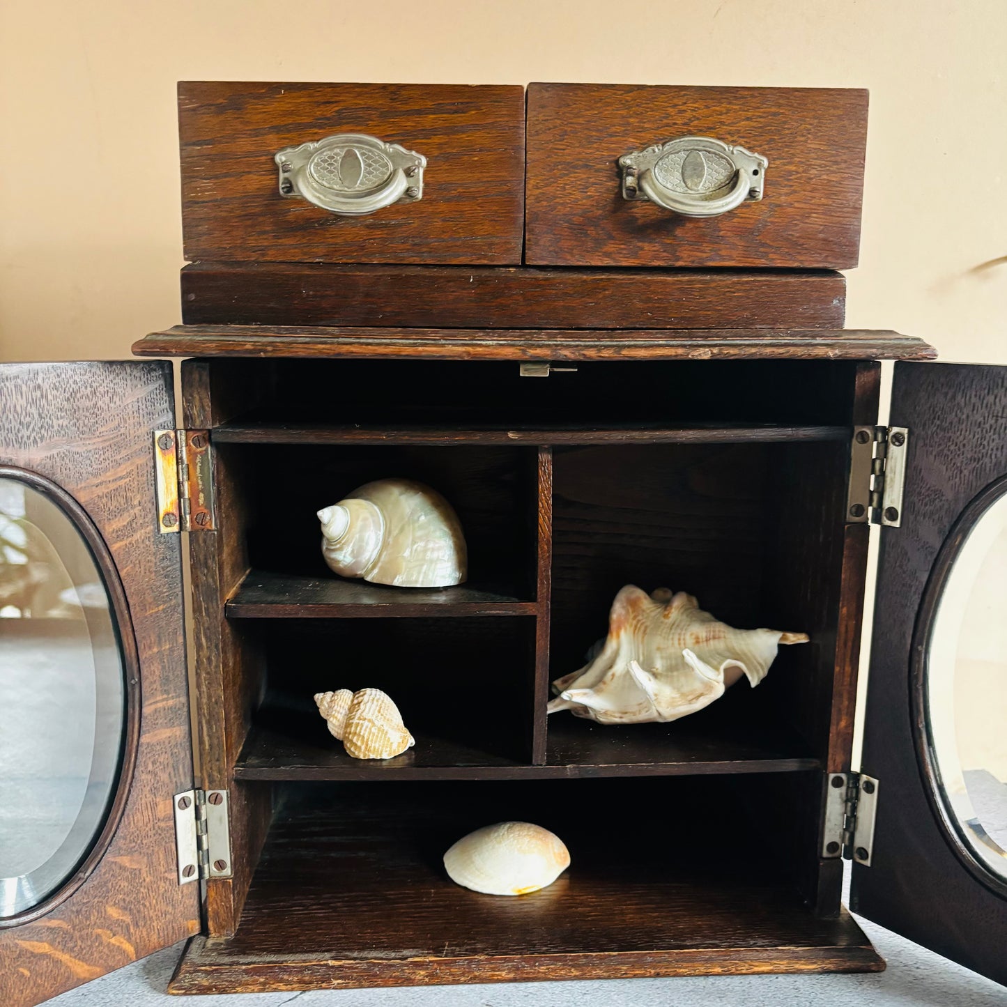 Antique Smokers Cabinet For Storage Or Display. Wooden cabinet with seashells inside, on a neutral background