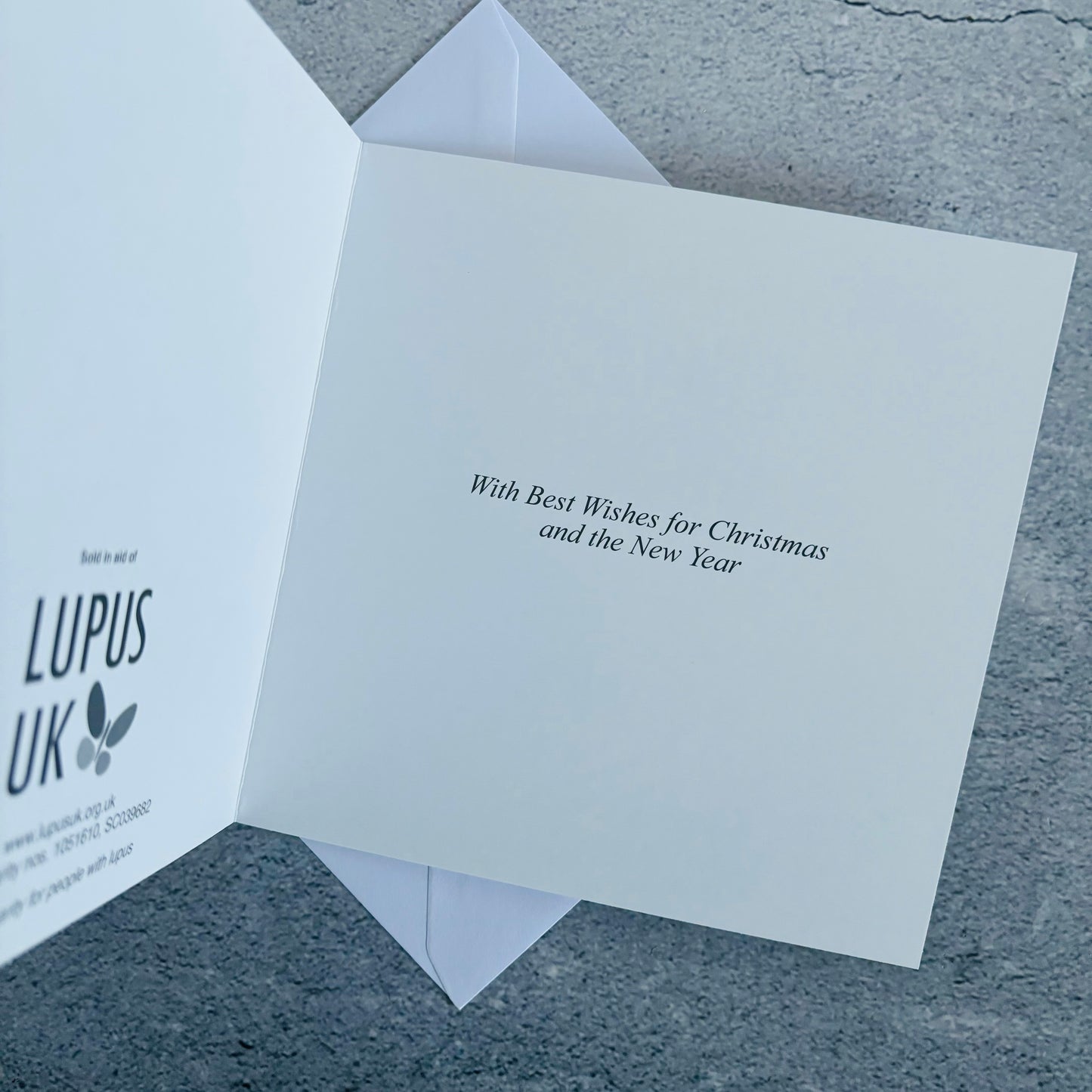 Lupus UK Christmas Cards Pack of 10- Mince Pie Anyone