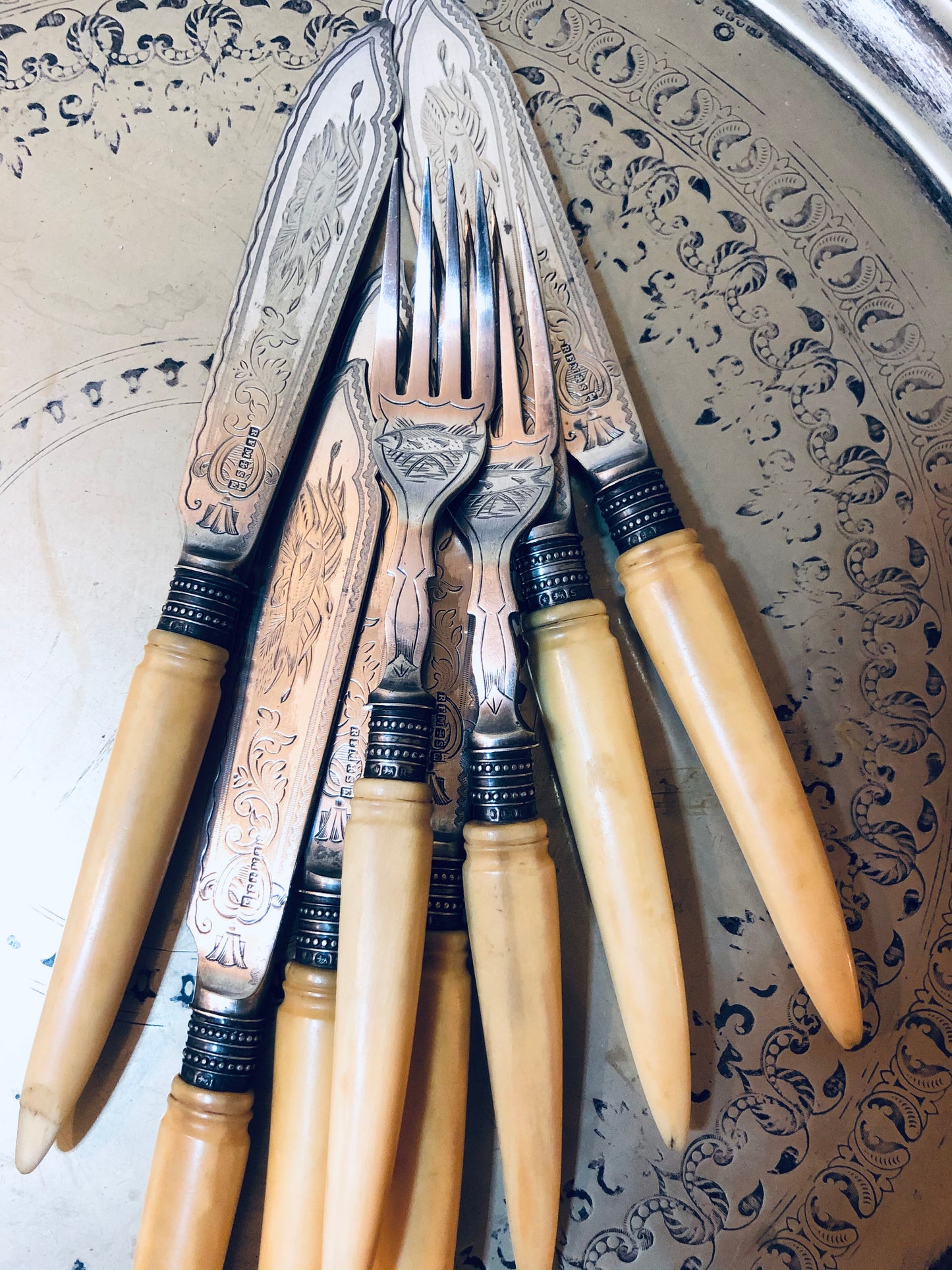 Fish Knives With Engraved Blades Richard Morton Sheffield 1885