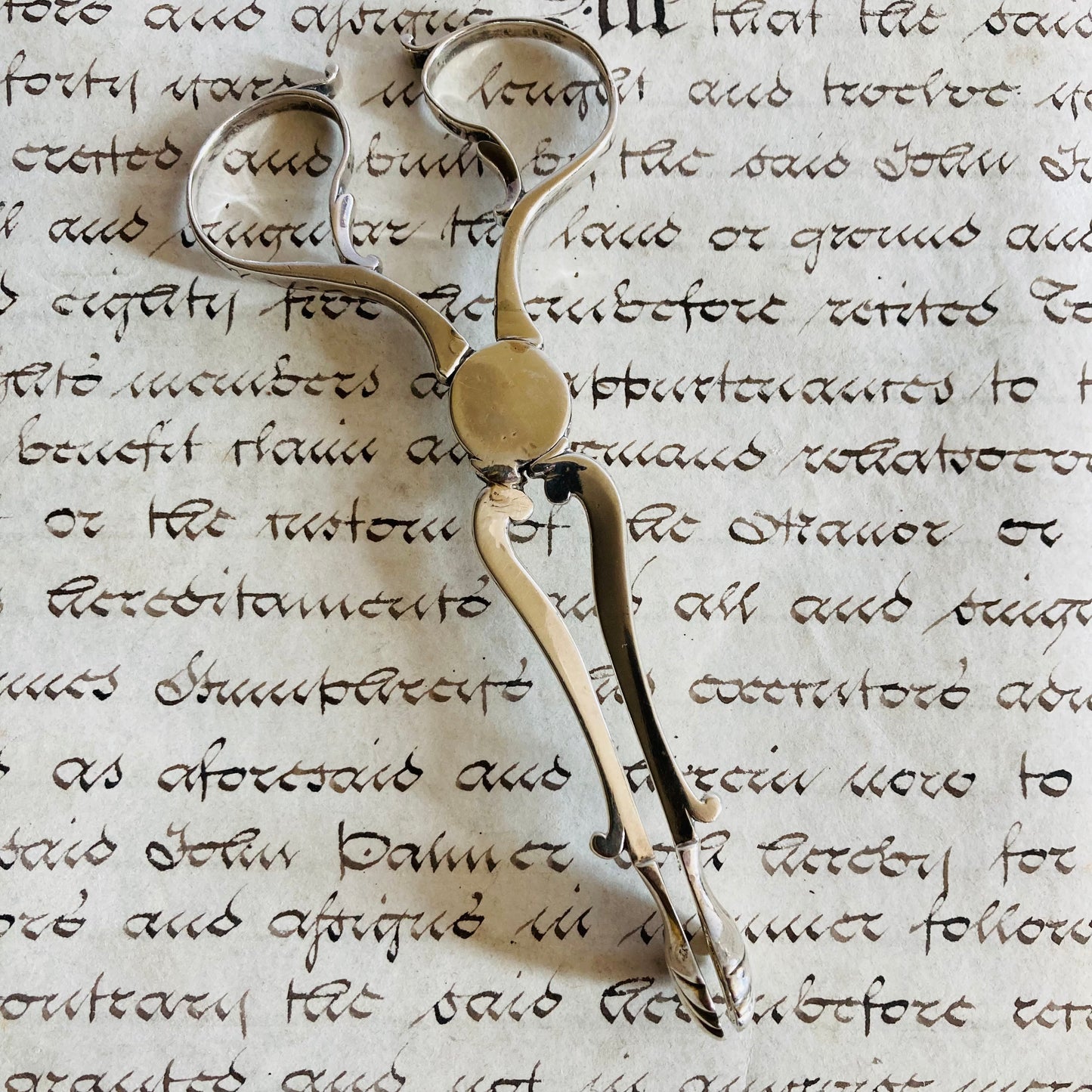 The Headhunter Terri - Georgian Antique Silver Sugar Nips