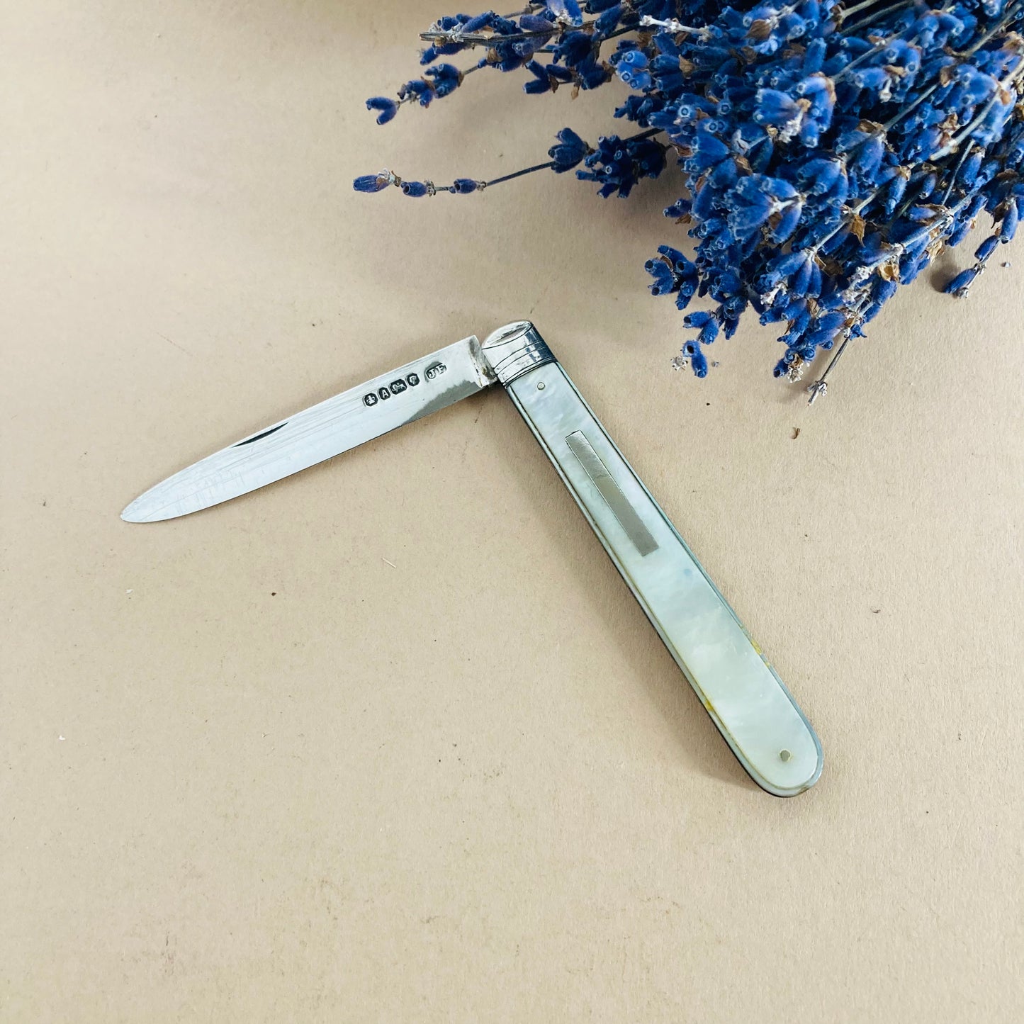 Antique Silver & Mother Of Pearl Multi Fruit Knife 1869