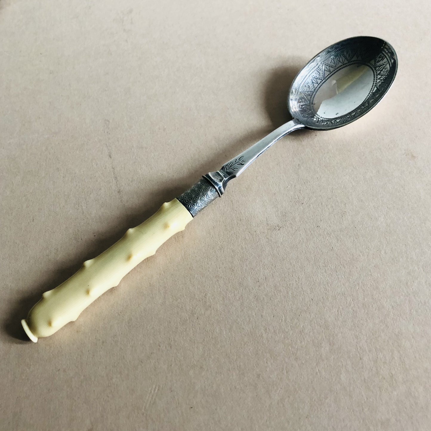 Antique Silver Spoon with Bone Handle