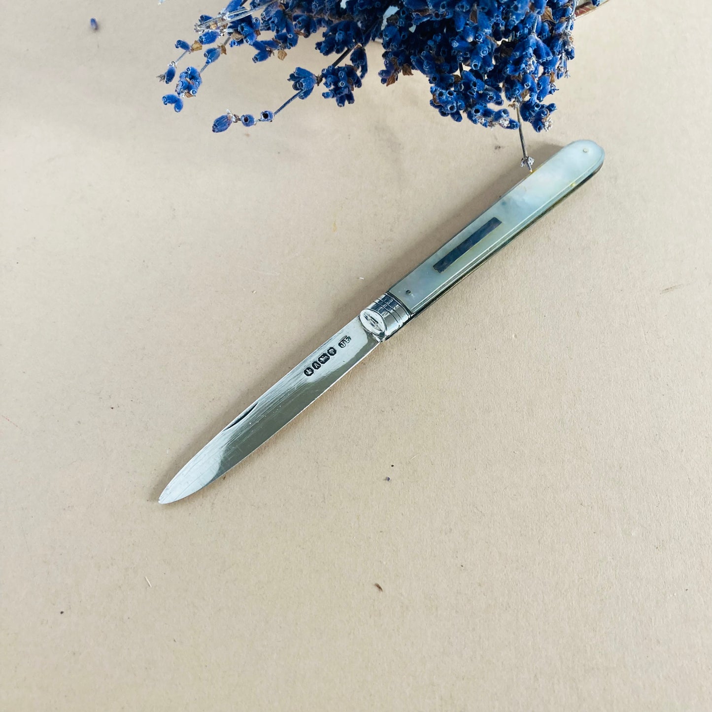 Antique Silver & Mother Of Pearl Multi Fruit Knife 1869