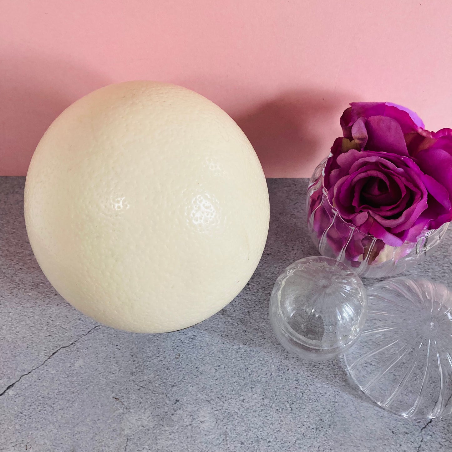 Antique Ostrich Egg and Silver Plate Ostrich Cup