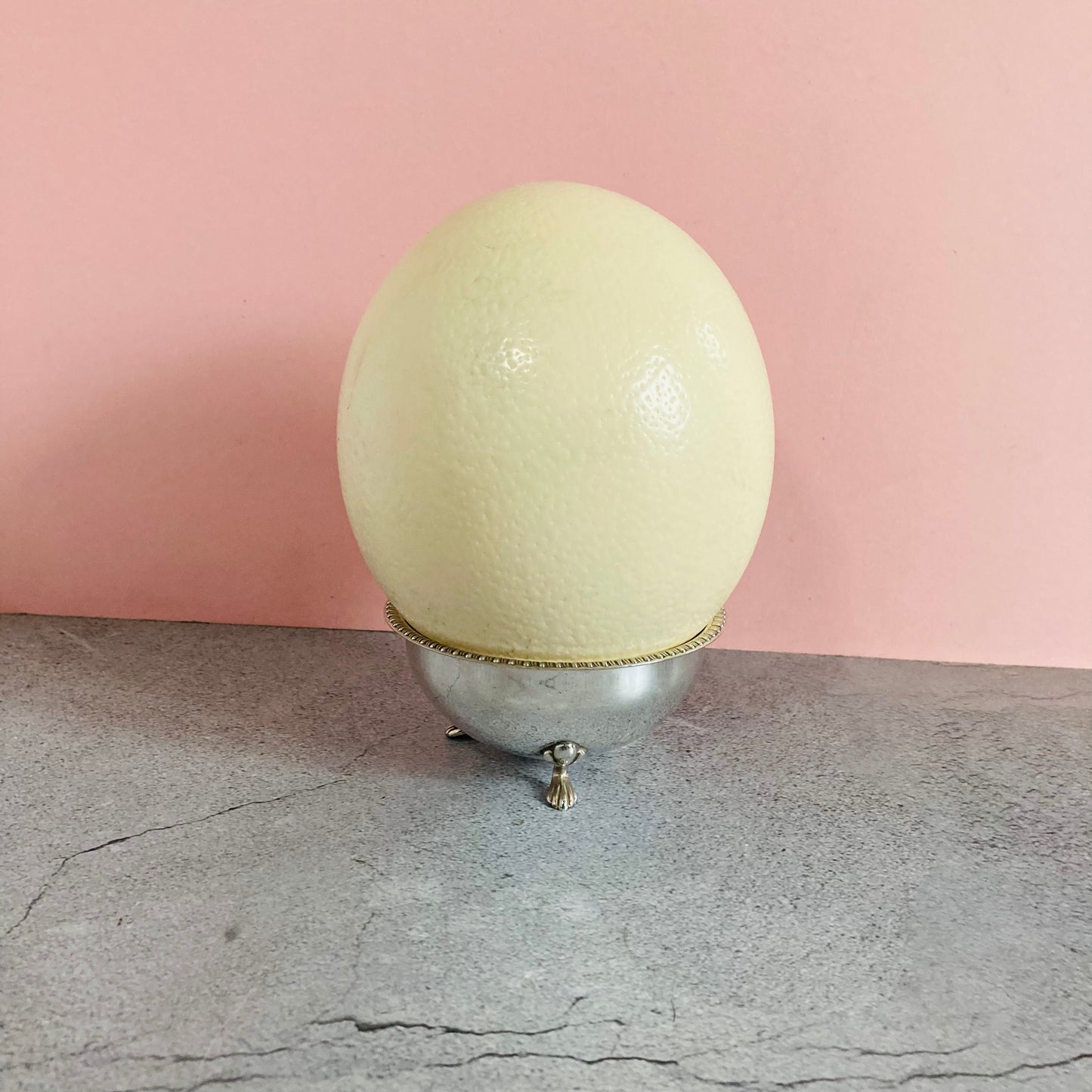 Antique Ostrich Egg and Silver Plate Ostrich Cup