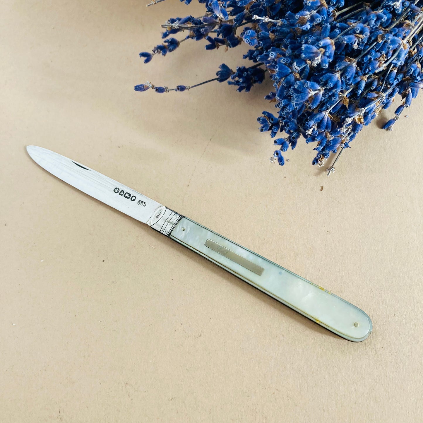 Antique Silver & Mother Of Pearl Multi Fruit Knife 1869