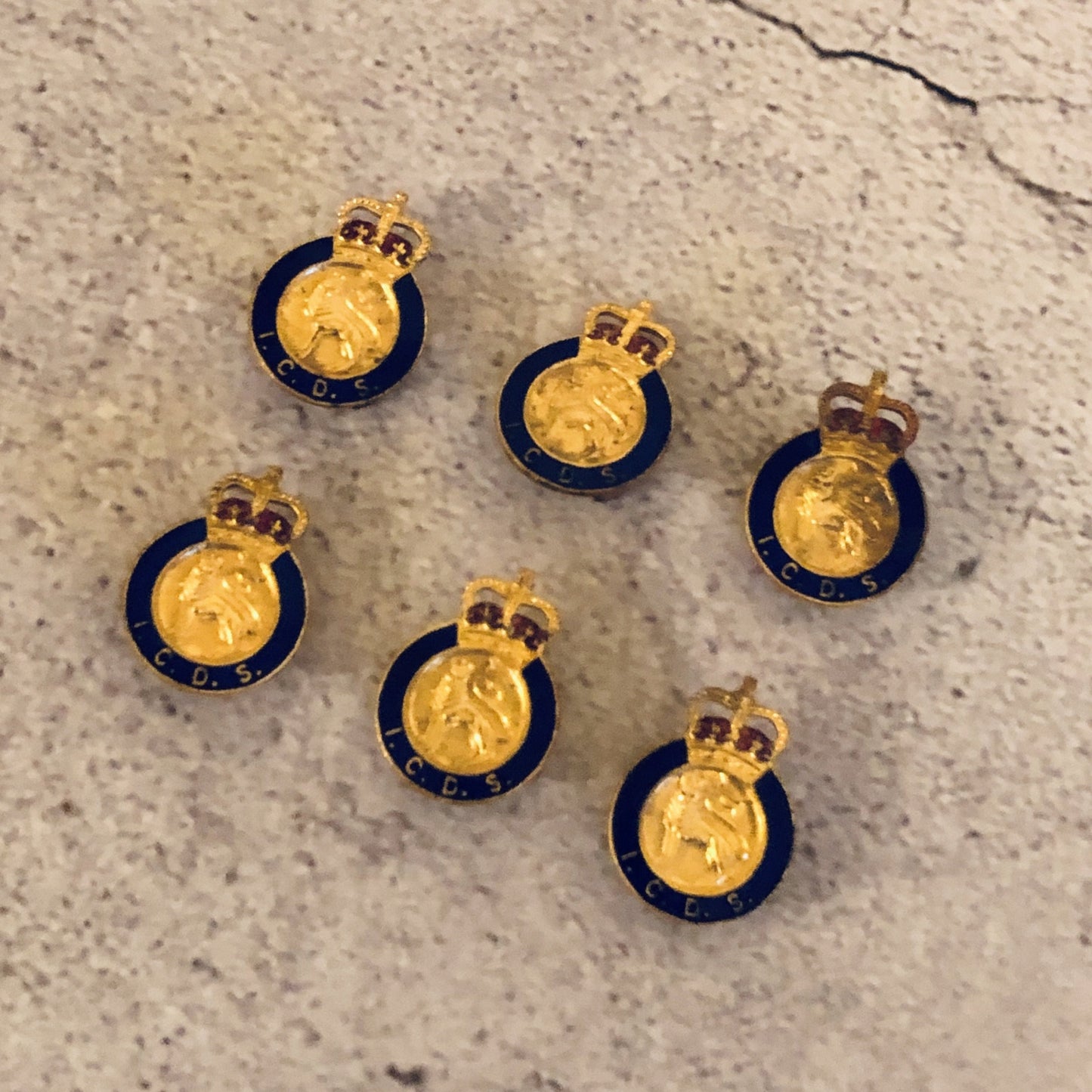 The Director Aston - Pair of Vintage Industrial Civil Defence Service Badge