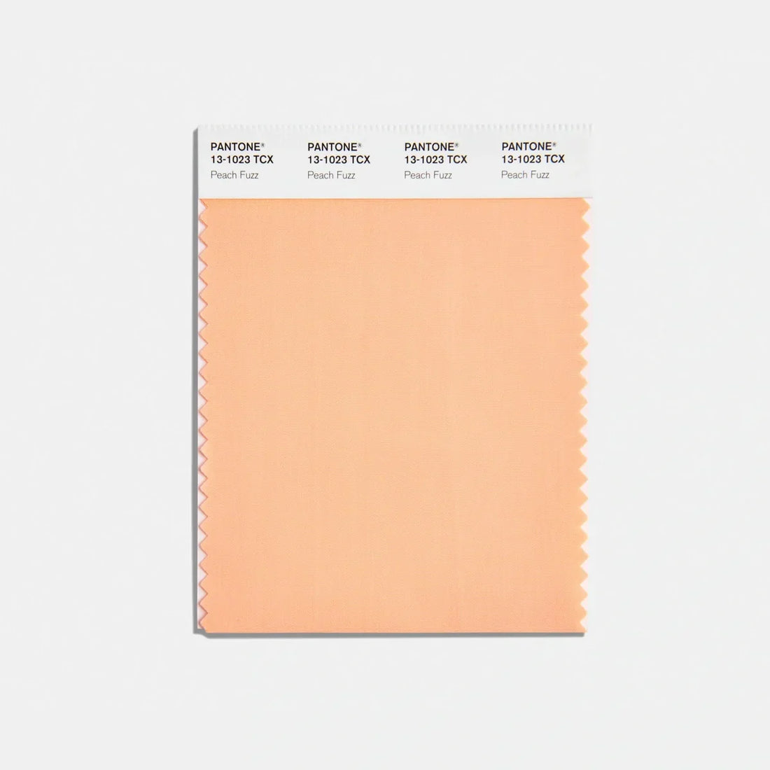Pantone Colour Of The Year 2024 Peach Fuzz #TrendBlog