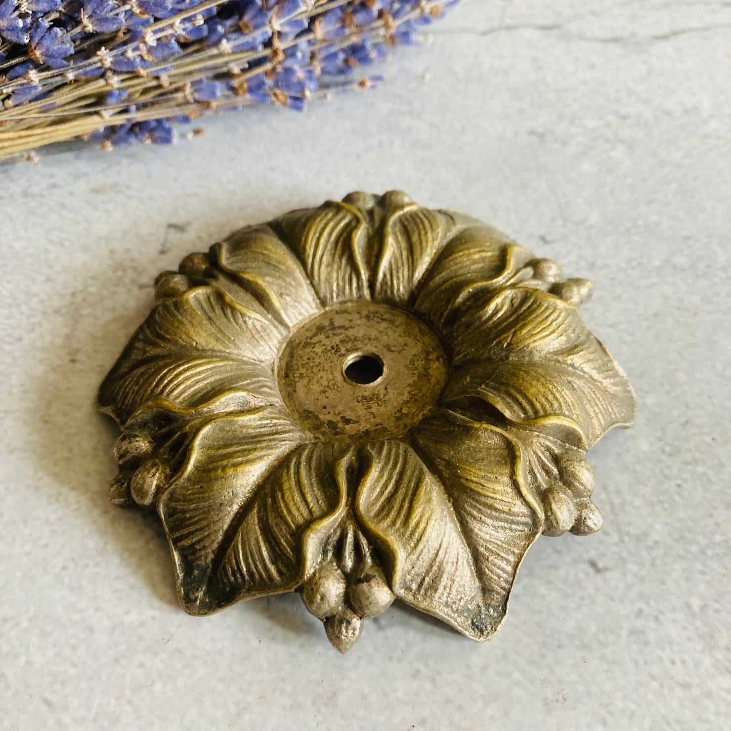 Decorative Rosette Backplate / Brass Architectural Salvage