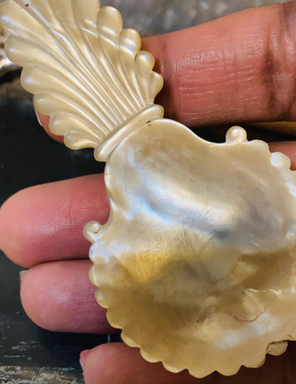 Antique Rare Mother Of Pearl 18th Century Caddy Spoon