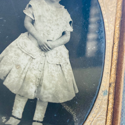Ambrotype Daguerrotype & Tintypes Victorian Portraits