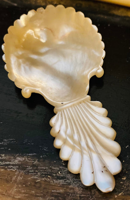 Antique Rare Mother Of Pearl 18th Century Caddy Spoon