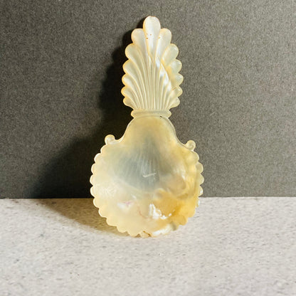 Antique Rare Mother Of Pearl 18th Century Caddy Spoon