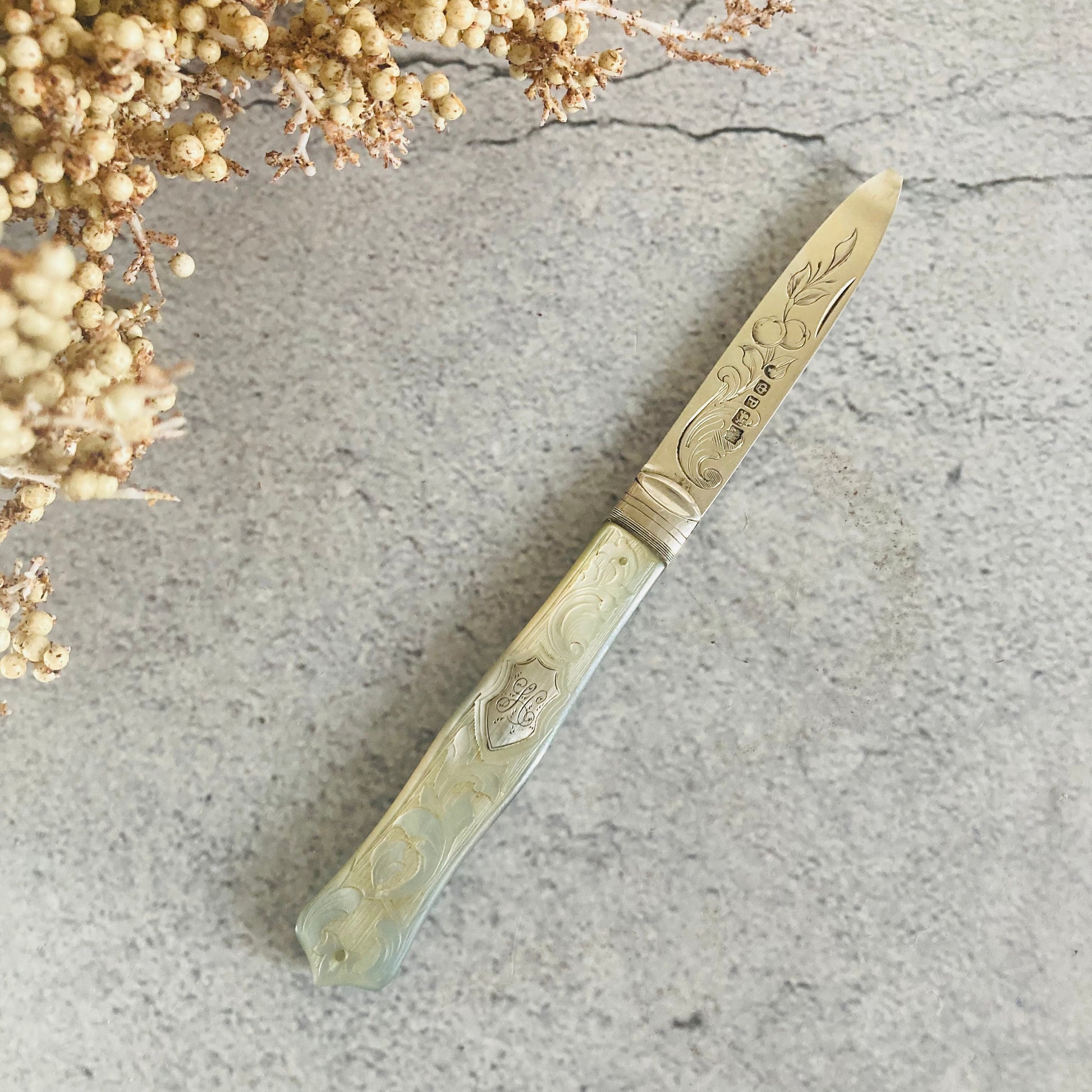 Antique Silver and Mother Of Pearl Fruit Knife In A Case