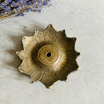 Decorative Rosette Backplate / Brass Architectural Salvage