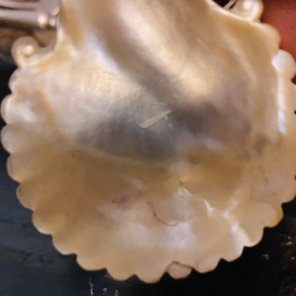 Antique Rare Mother Of Pearl 18th Century Caddy Spoon