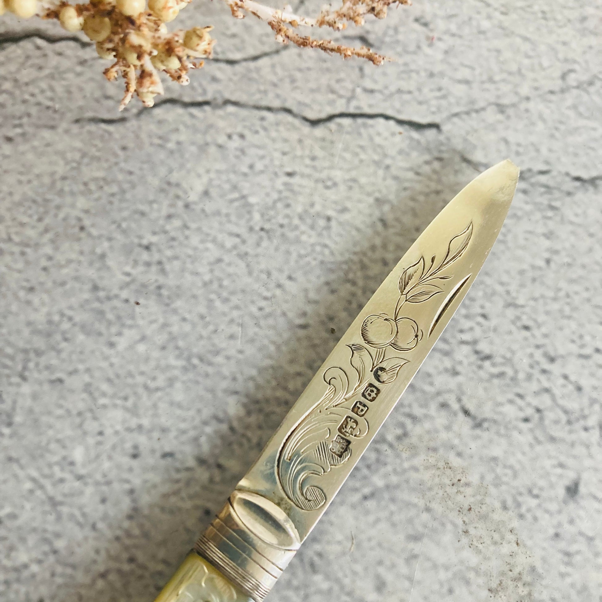 Antique Silver and Mother Of Pearl Fruit Knife In A Case
