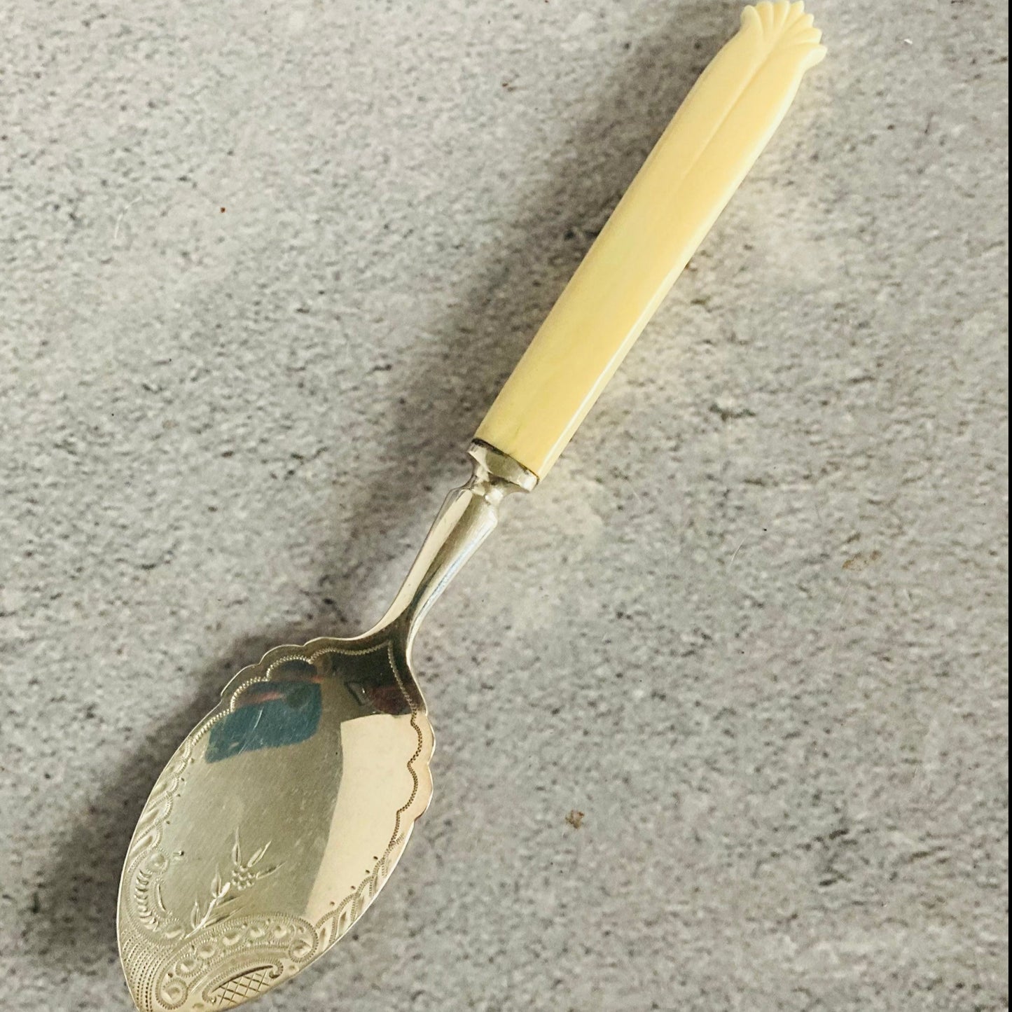 The Headhunter Jodie - Antique Sterling Silver and Bone Preserve Spoon
