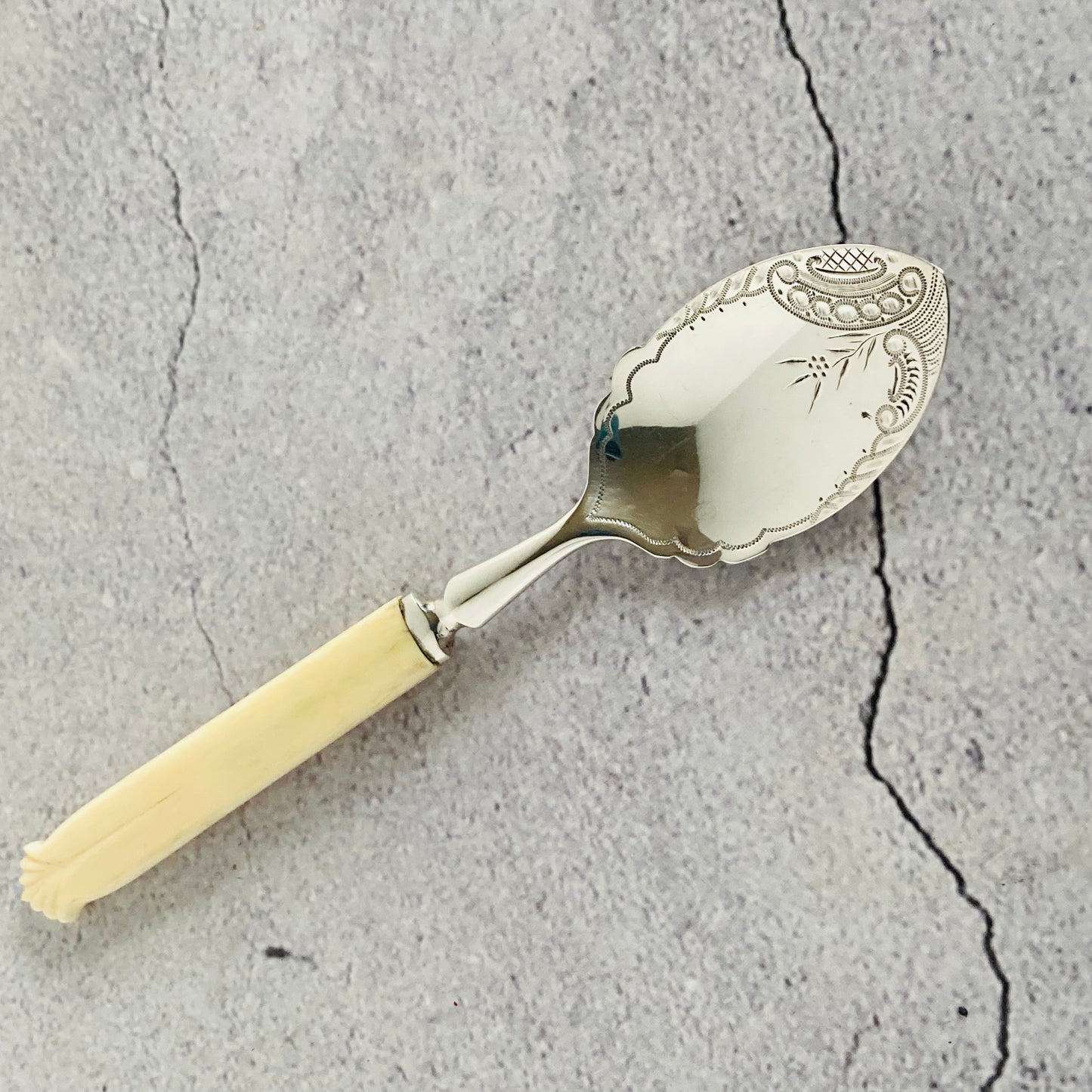 The Headhunter Jodie - Antique Sterling Silver and Bone Preserve Spoon