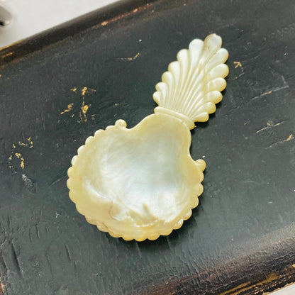 Antique Rare Mother Of Pearl 18th Century Caddy Spoon
