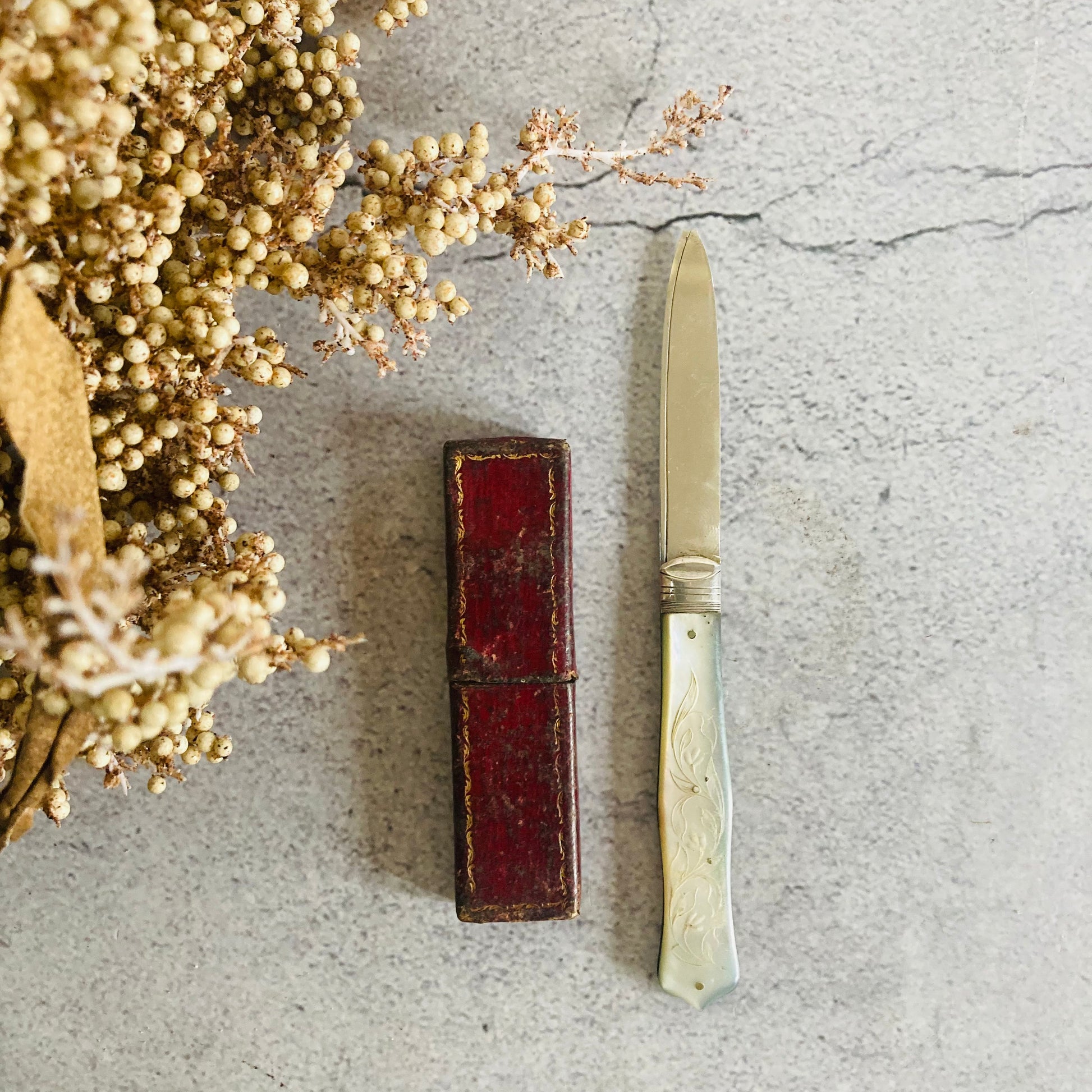 Antique Silver and Mother Of Pearl Fruit Knife In A Case