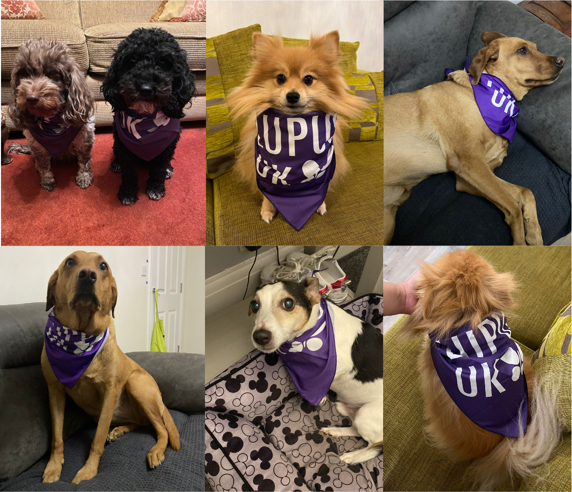 Lupus UK Dog Bandana