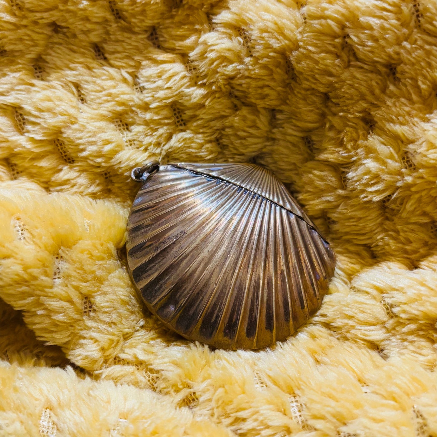 Victorian Brass Vesta In Shape of a Shell | The Urban Vintage Affair