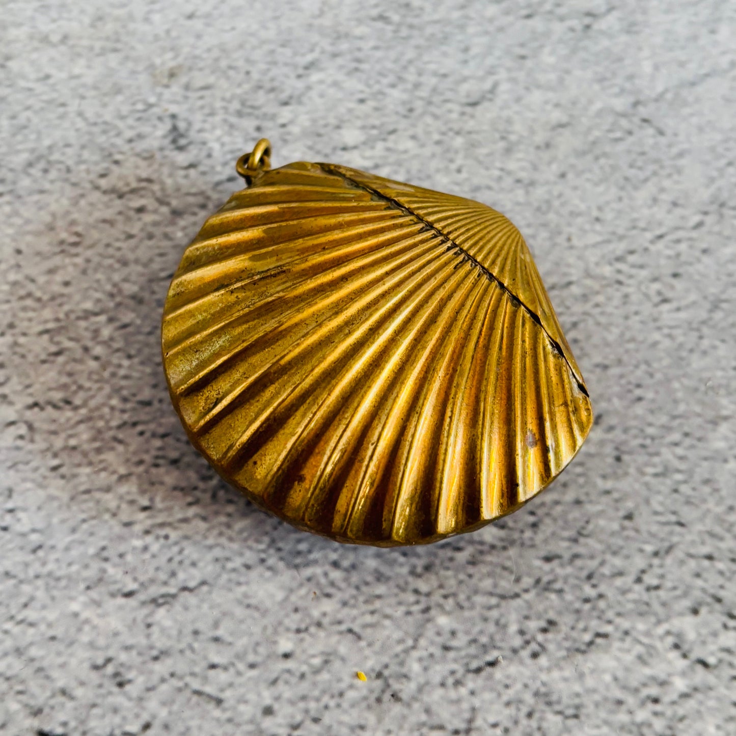 Victorian Brass Vesta In Shape of a Shell | The Urban Vintage Affair