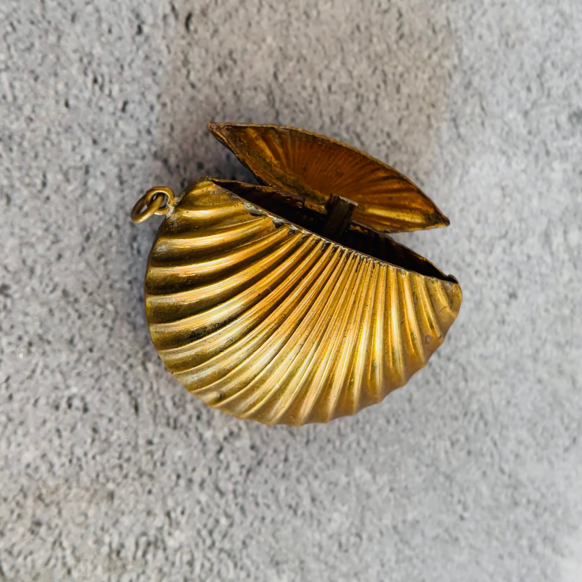 Victorian Brass Vesta In Shape of a Shell | The Urban Vintage Affair