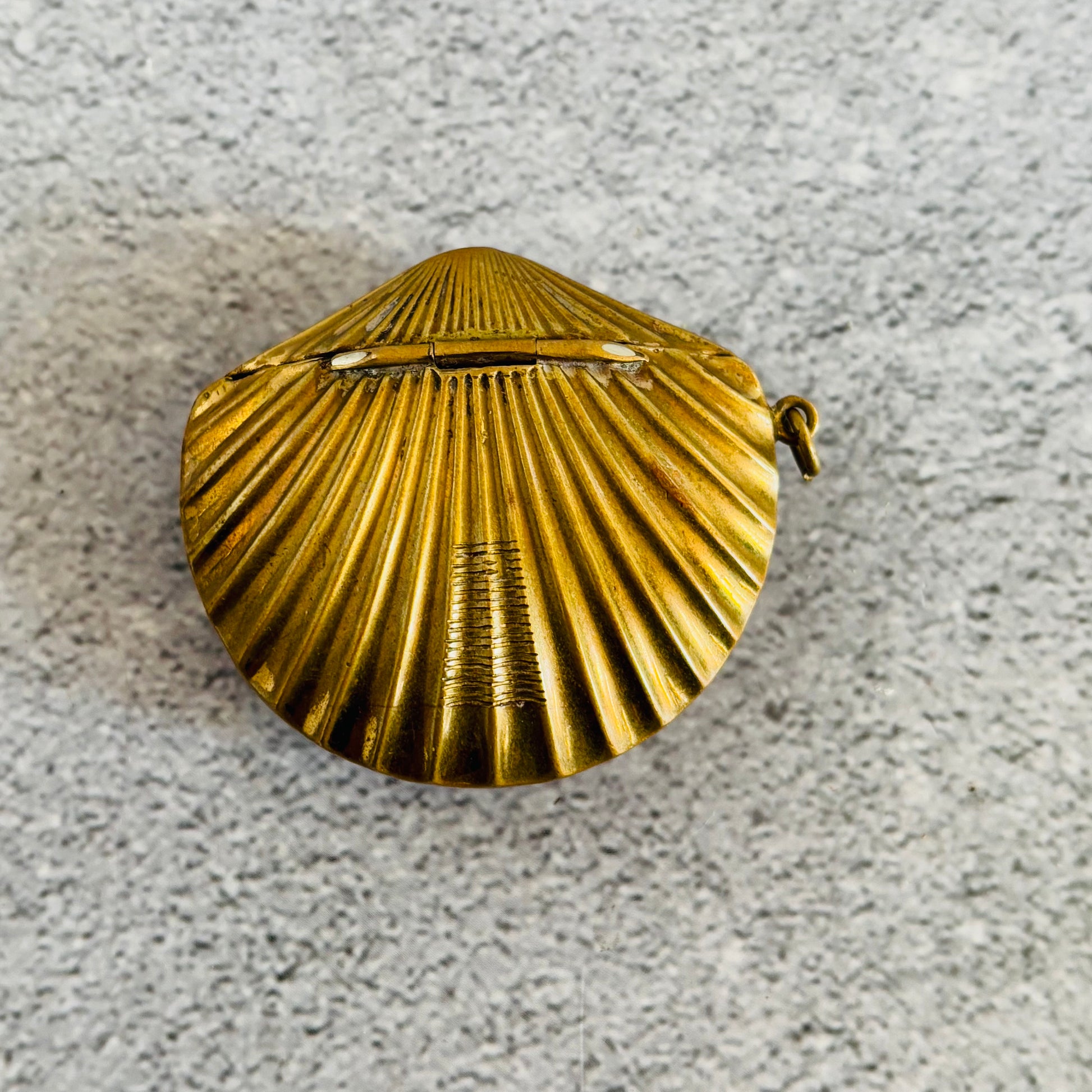 Victorian Brass Vesta In Shape of a Shell | The Urban Vintage Affair