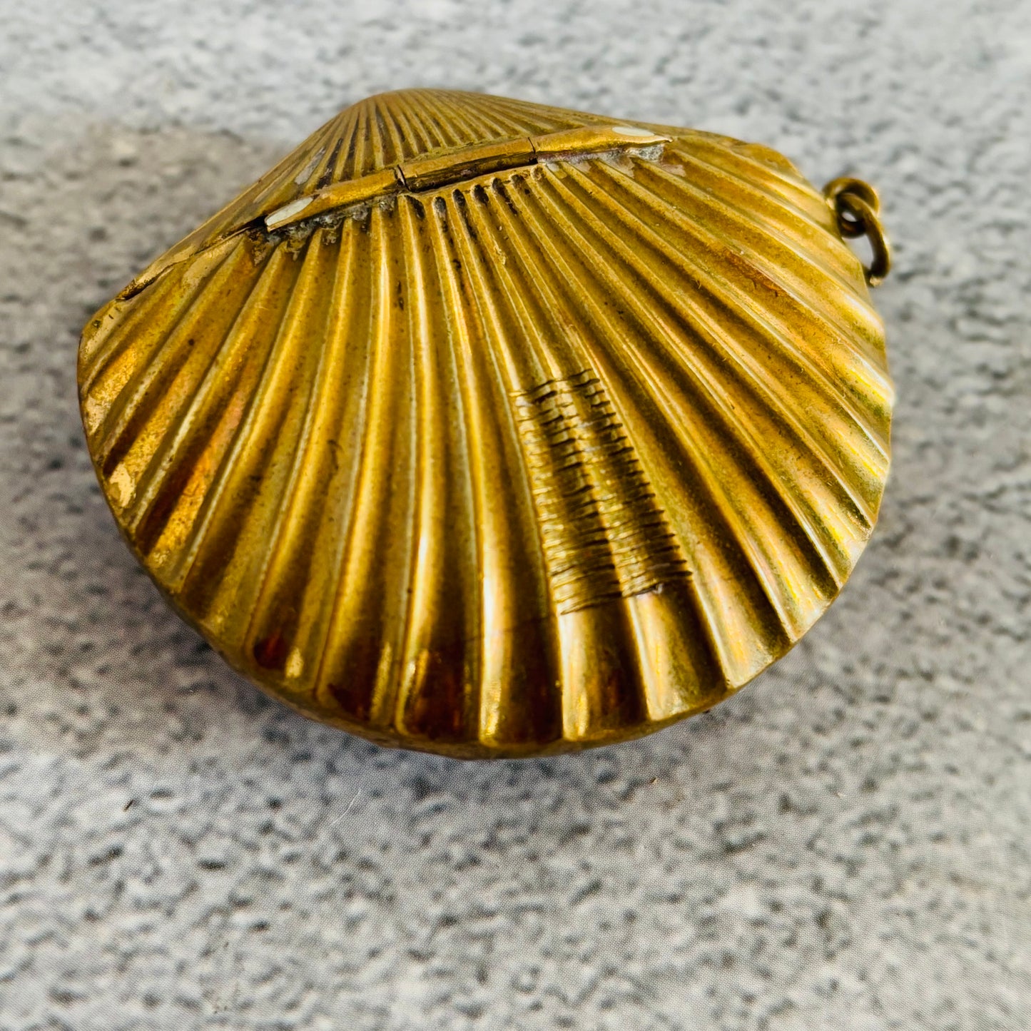 Victorian Brass Vesta In Shape of a Shell | The Urban Vintage Affair