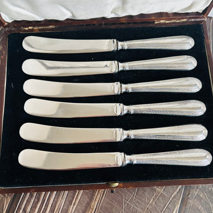 Set of six silver butter knives in a case on a wooden surface.
