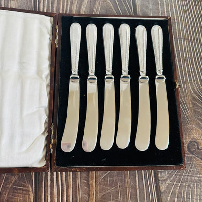 Set of six silver butter knives in a case on a wooden surface