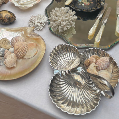 Master Mass -  Antique Mother Of Pearl Natural Shell Dish